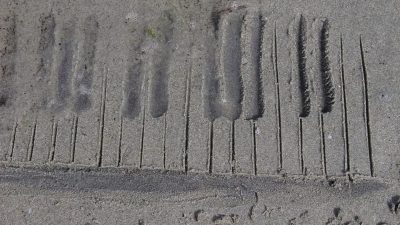 The Waves in Eflat & F (A conversation with my Mother) (Play Poem I)