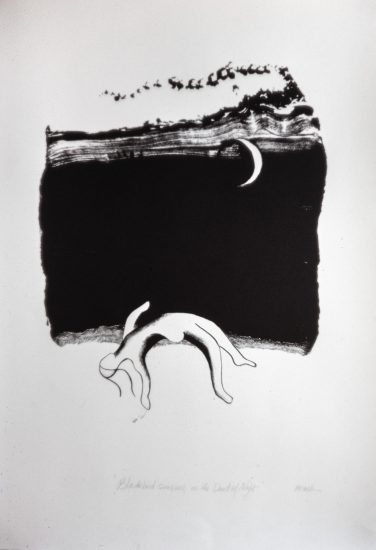 Blackbirds singing in the Dead of Night