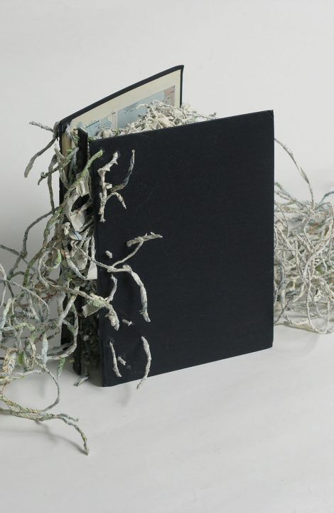 Artist's Book / Livre d'artiste