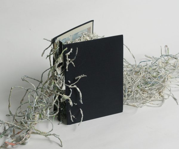 Artist's Book / Livre d'artiste