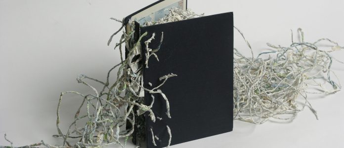 Artist's Book / Livre d'artiste