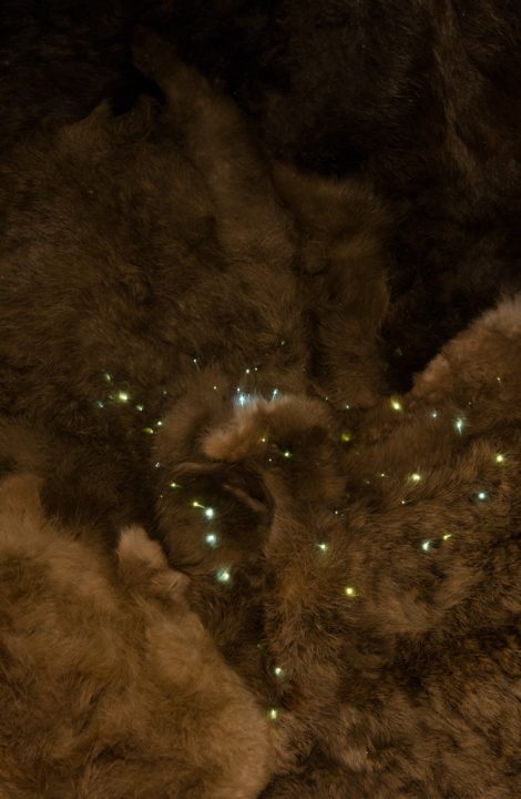 Light Art / art de la lumière