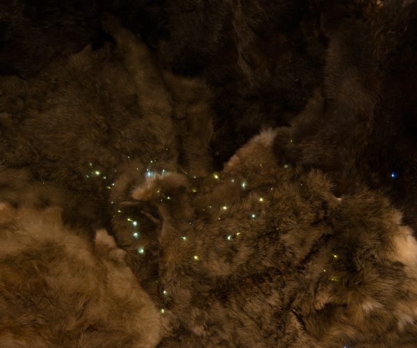 Light Art / art de la lumière