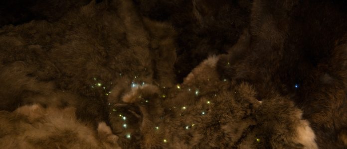 Light Art / art de la lumière