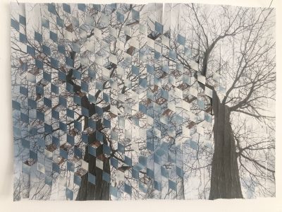 Trees and Sky, Trees & Sky with Shadow, Of the Sky