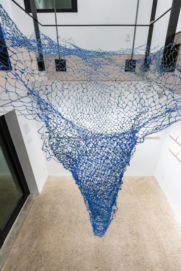 Blue Net