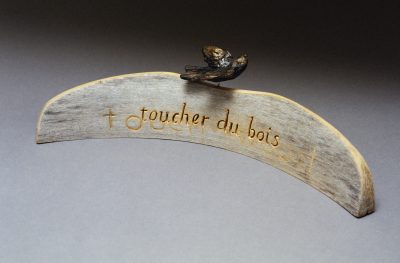 Toucher du bois (oiseau)