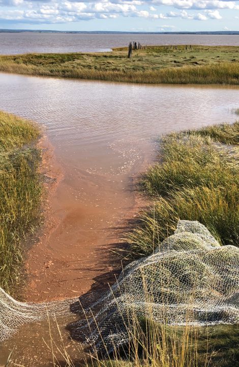 Site-specific / Art in-situ