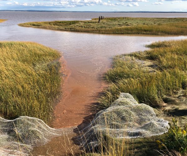 Site-specific / Art in-situ