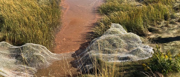 Site-specific / Art in-situ